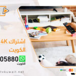 اشتراك فلاش flash 4k الكويت | IPTV flash 4k | اشتراك iptv