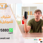 اشتراك iptv للموبايل